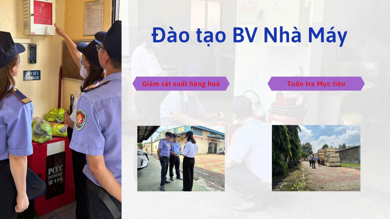 Z7180200748329 67cc2d3f3d10d0edf6508907bb1f6c16